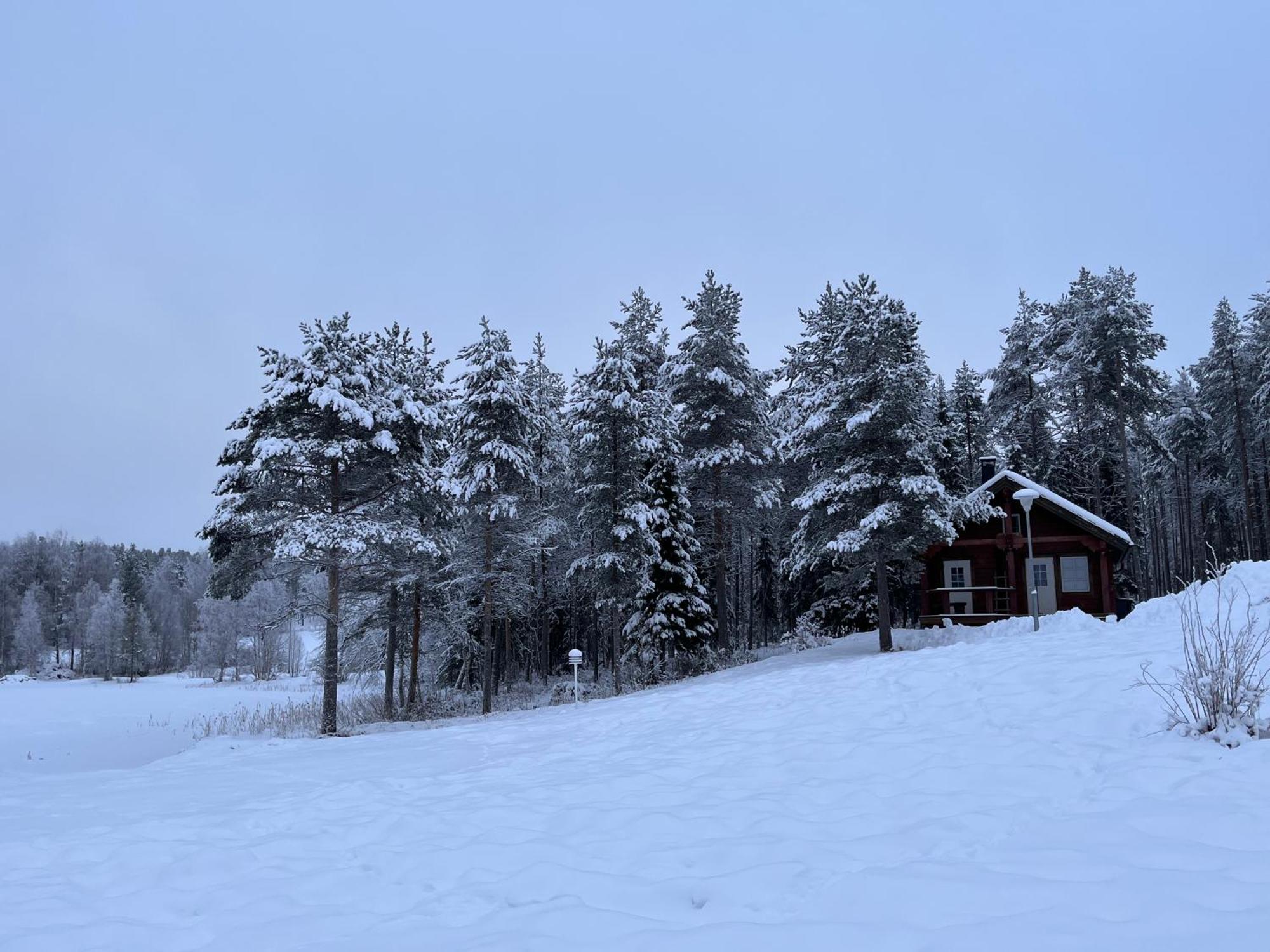 Kenttaeniemi Cottages Sonka Eksteriør bilde